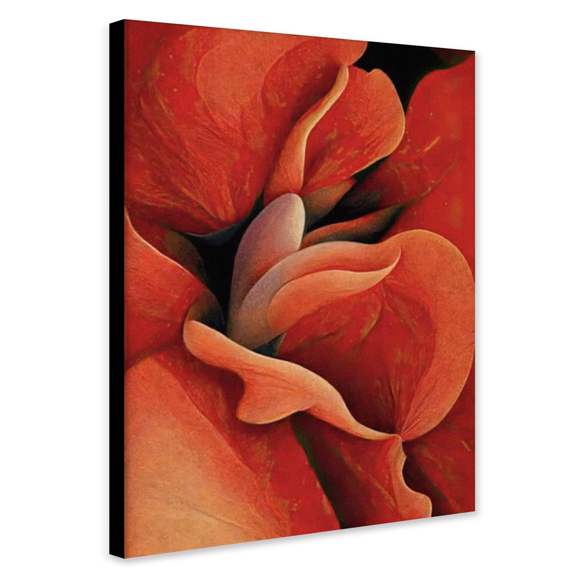 Orange Rose Wall Art by Georgia O'Keeffe - Canvas Wall Art Framed Print - Various Sizes