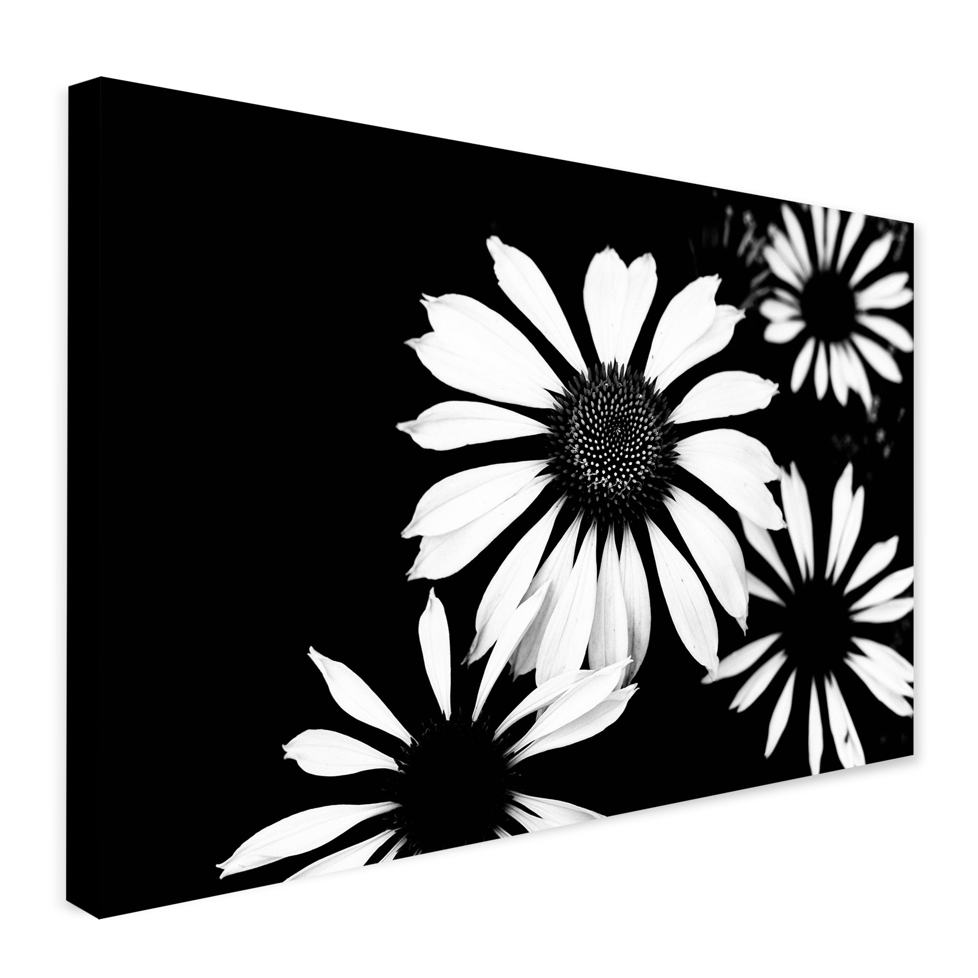 Monochrome Four Flowers - Wall Art - Canvas Wall Art Framed Print - Various Sizes
