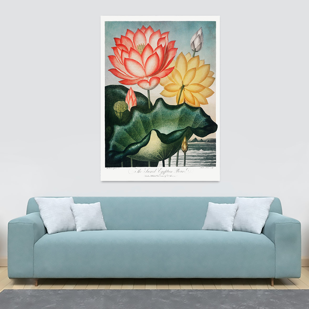 The Sacred Egyptian Bean from The Temple of Flora by Robert John Thornton 1807 - Canvas Wall Art Framed  Print - Various Sizes