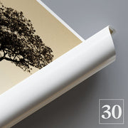 Custom 30x30 inches (76x76cm) - Wall Art Photo Poster Print