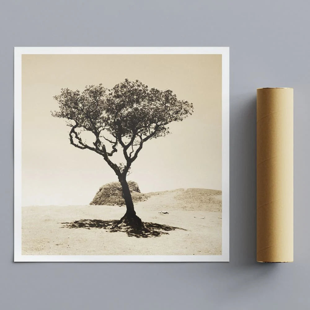 Custom 30x30 inches (76x76cm) - Wall Art Rolled Canvas Print