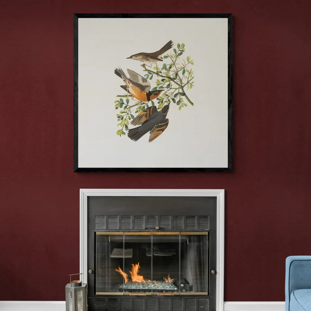 Custom 38x38 inches (97x97cm) - Wall Art Photo Poster Print