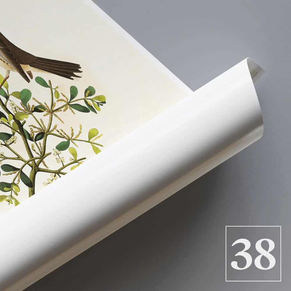 Custom 38x38 inches (97x97cm) - Wall Art Photo Poster Print