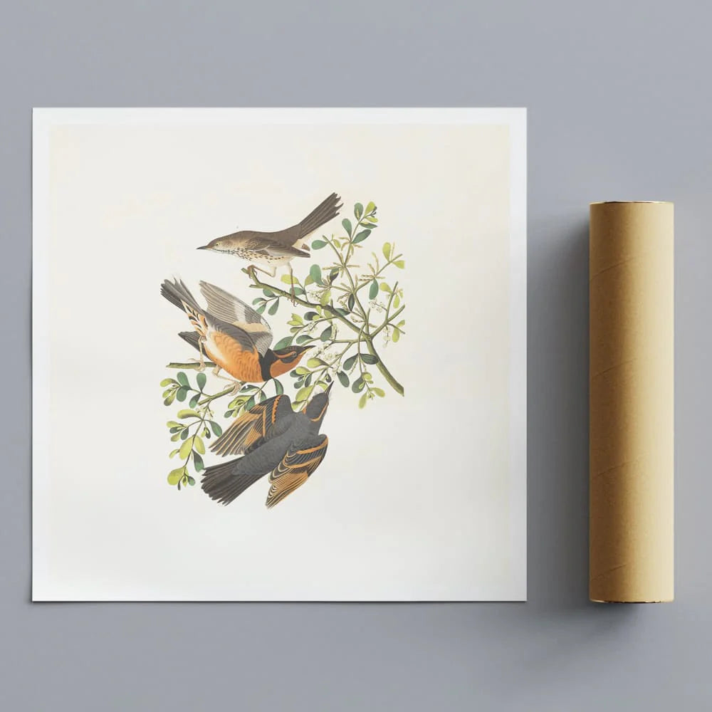 Custom 38x38 inches (97x97cm) - Wall Art Rolled Canvas Print