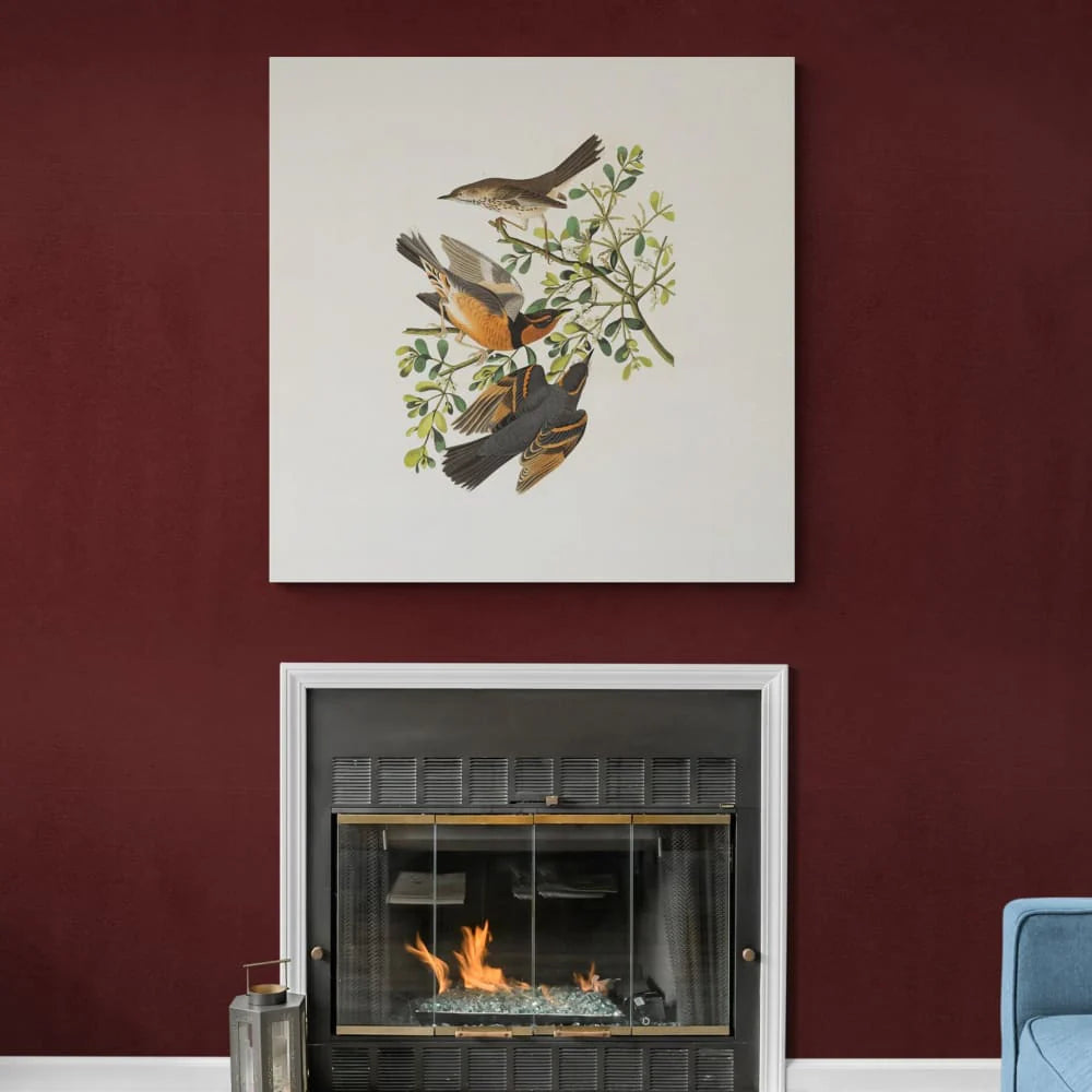 Custom 38x38 inches (97x97cm) - Wall Art Rolled Canvas Print