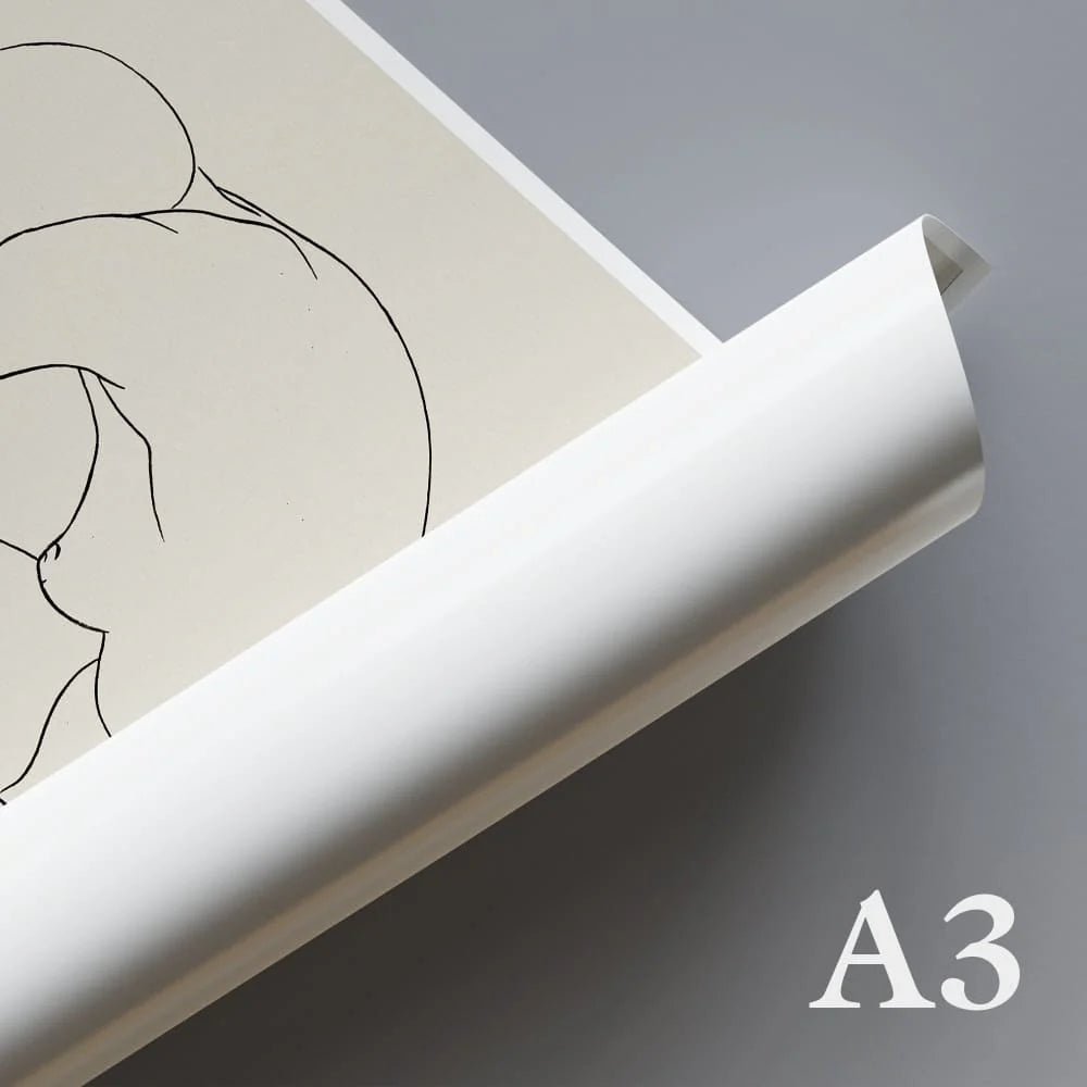 Custom A3 (16.5 x 11.7in / 42.0 x 29.7cm) - Wall Art Photo Poster Print