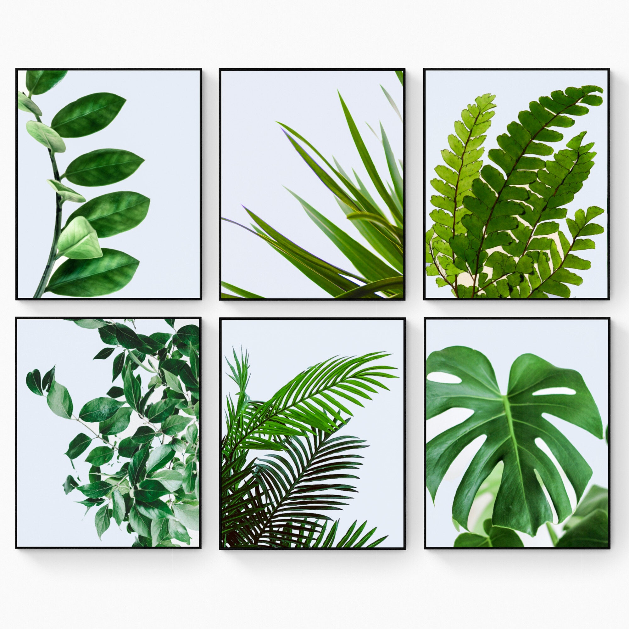 Green Botanical Wall Art - Tropical Plant Leaves - Home Decor Set of 6 Unframed - Rolled Prints | Canvas - Home Decor