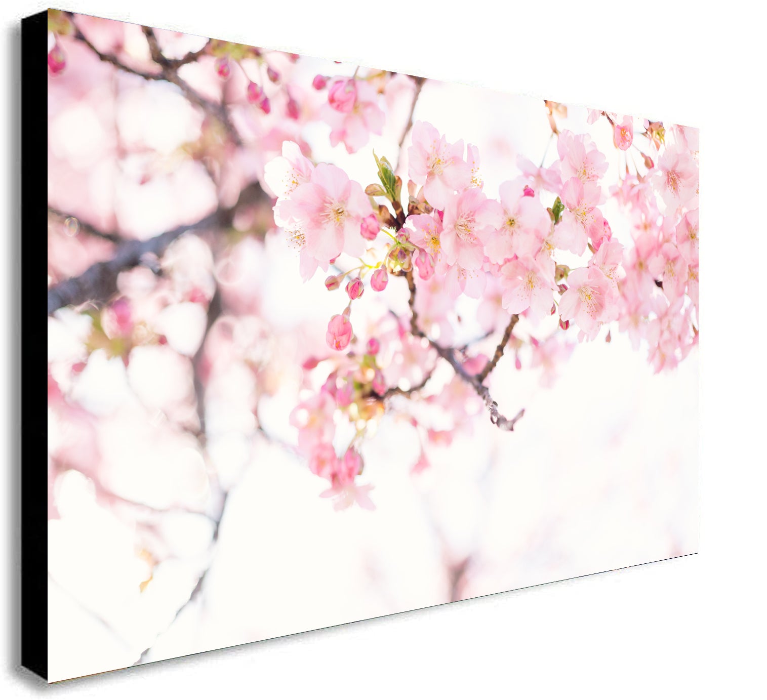 Cherry Blossom Pink Flower - Canvas Wall Art Framed Print - Various Sizes