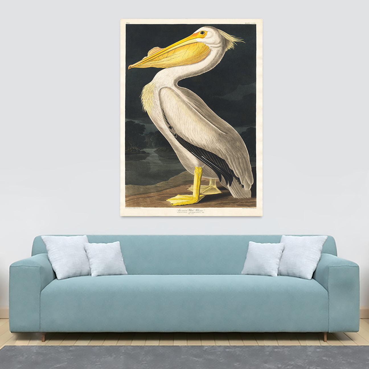 American White Pelican by John James Audubon - Canvas Wall Art Framed Print - Various Sizes
