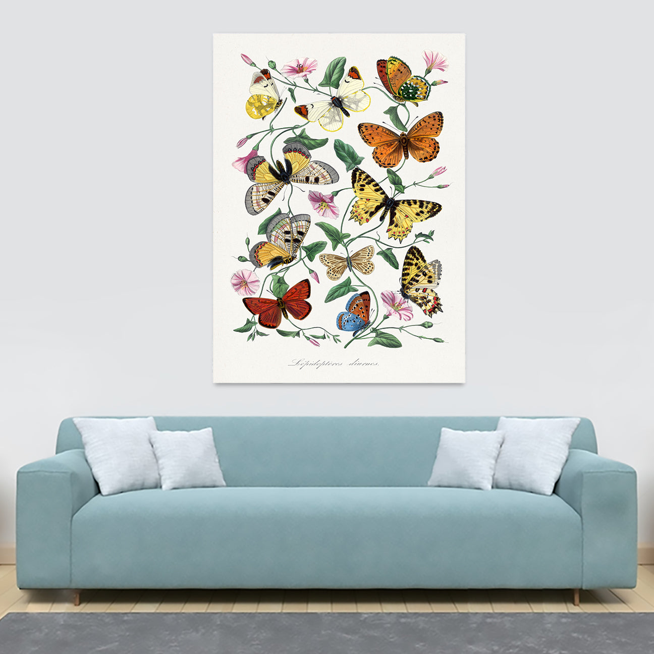 Butterfly & Moth by Paul Gervais - Canvas Wall Art Framed Print - Various Sizes