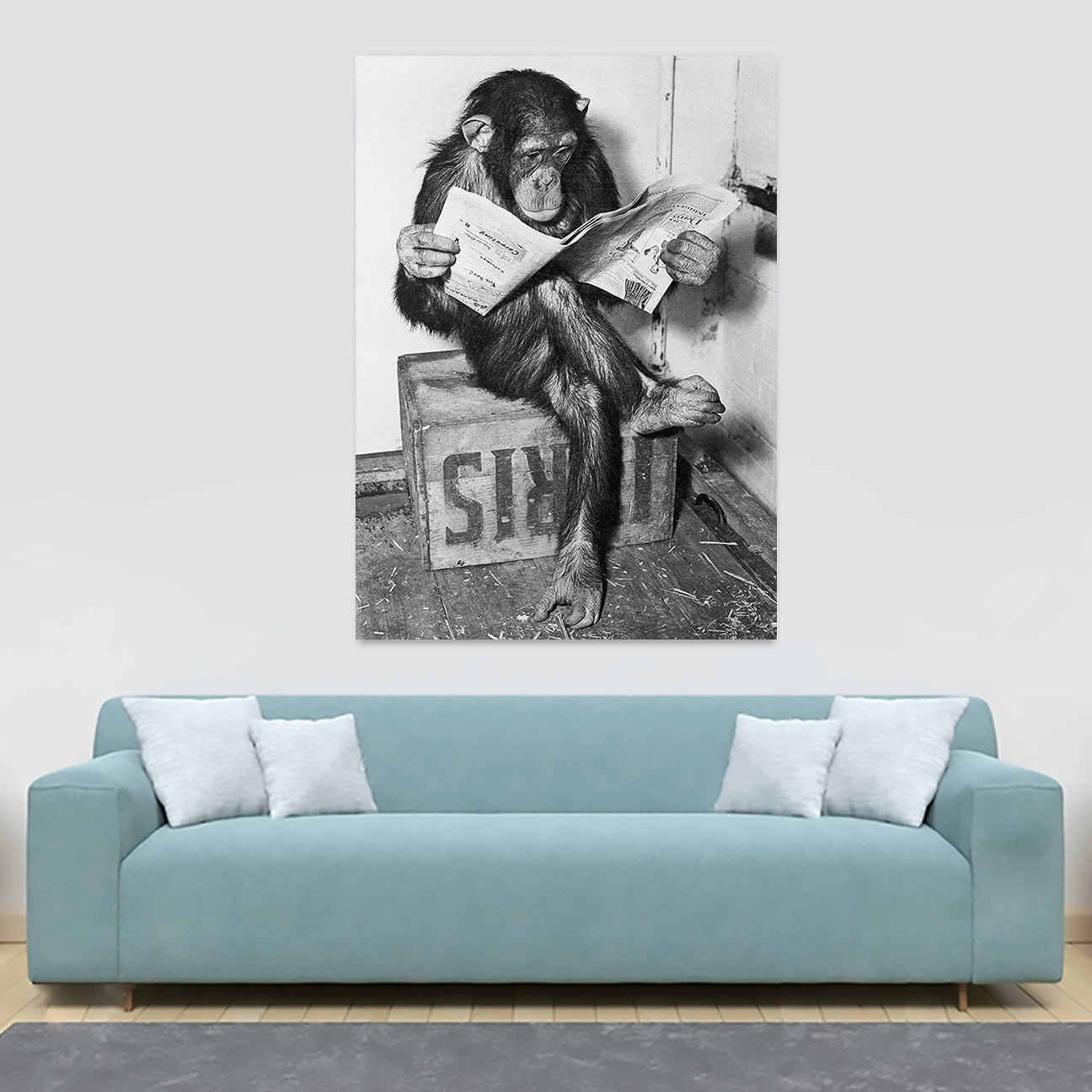 Chimpanzee  Reading Newpaper - Funny Art - Canvas Wall Art Framed Print - Various Sizes