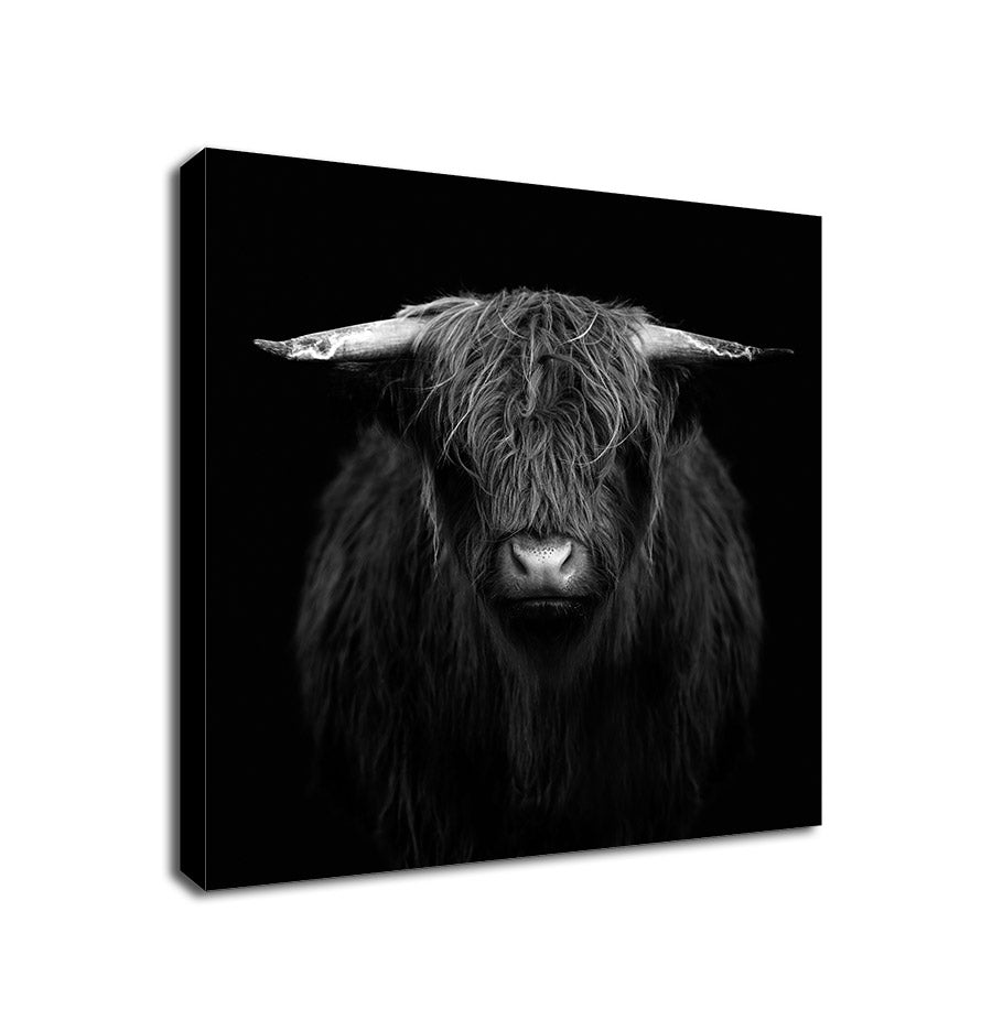Highland Cow - Black And White - Framed Canvas Wall Art Print - Various Sizes