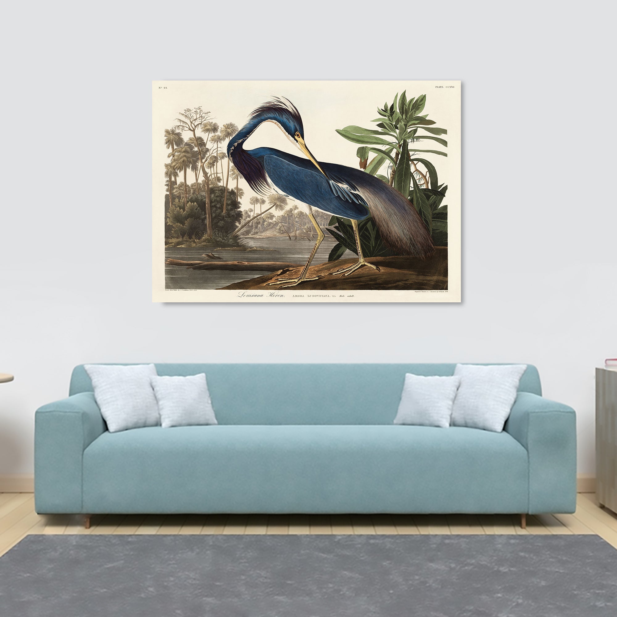 Louisiana Heron Bird by John James Audubon - Canvas Wall Art Framed  Print - Various Sizes