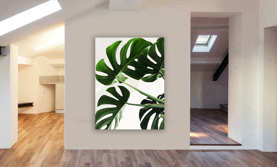 Swiss Cheese - Monstera Leaves - Canvas Wall Art Framed Print - Various Sizes