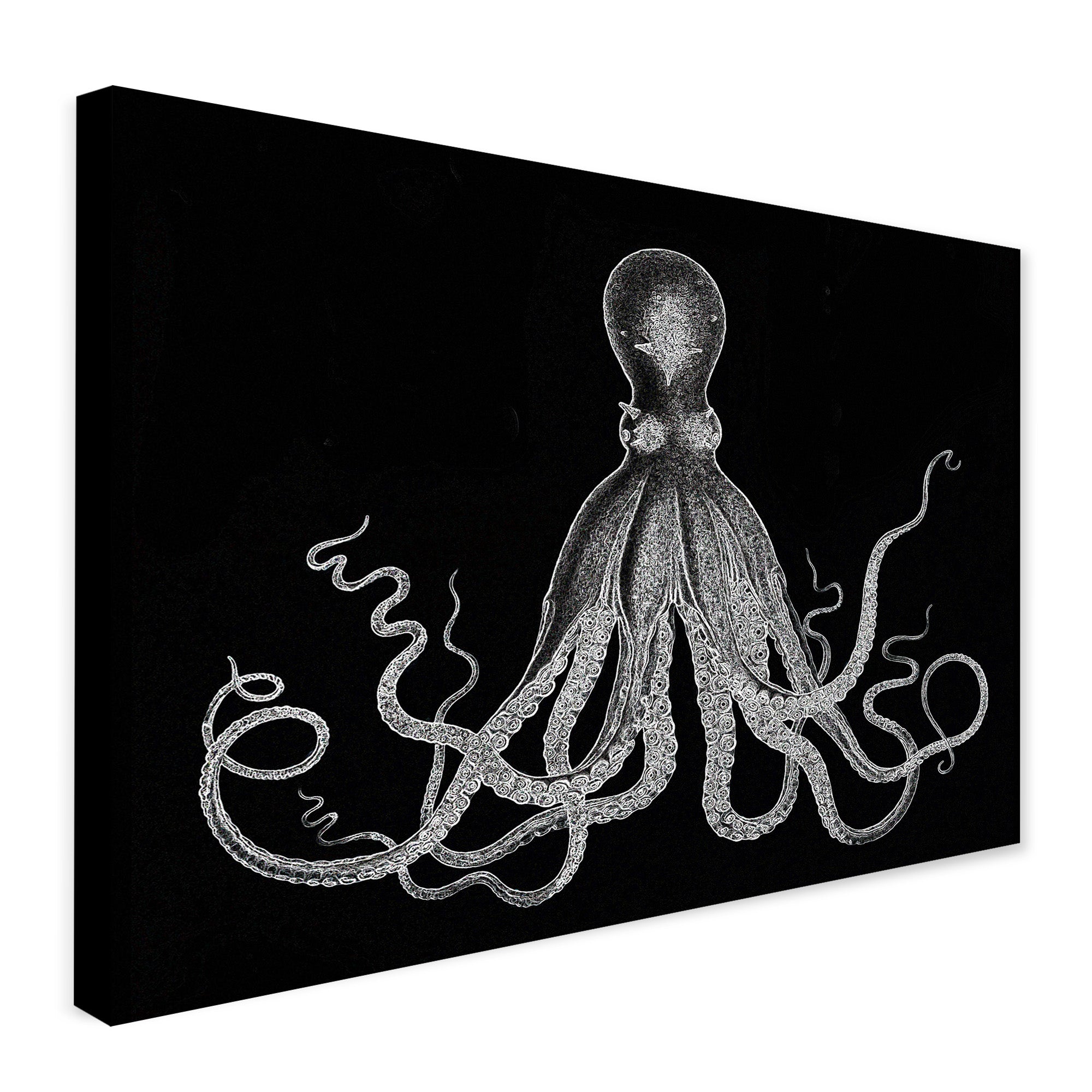 Octopus Vintage Art - Black And White - Canvas Wall Art Framed Print - Various Sizes