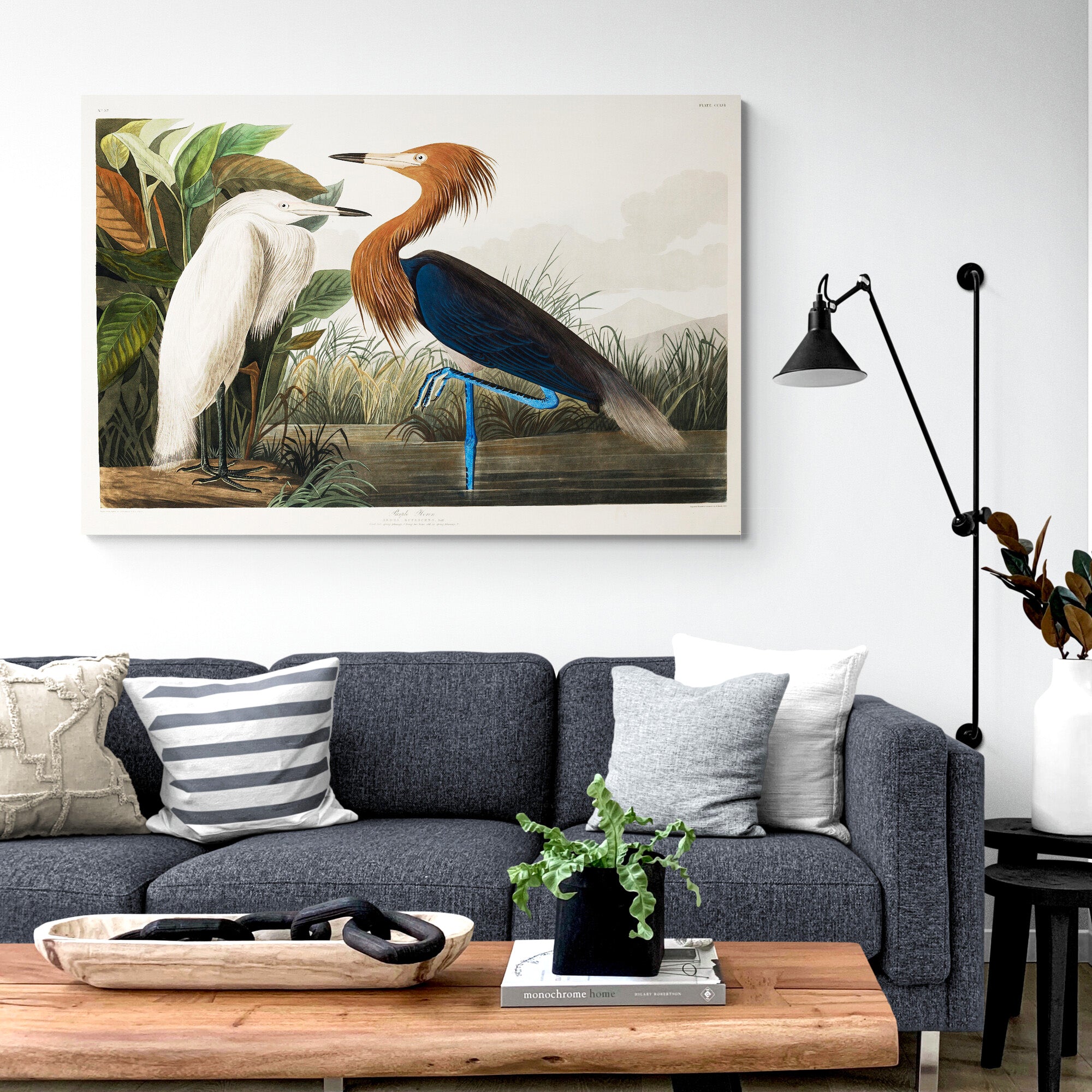 Purple Heron (1827) Vintage Art by John James Audubon - Canvas Wall Art Framed  Print - Various Sizes