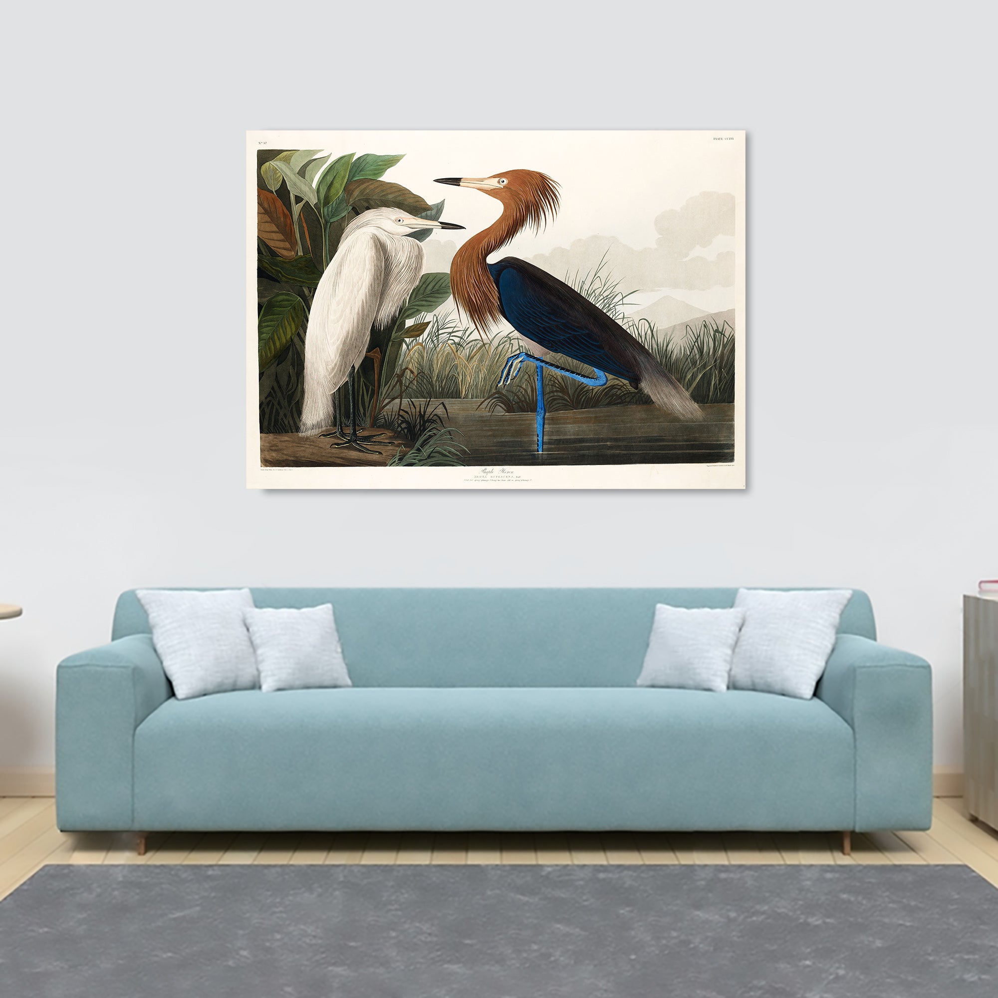 Purple Heron (1827) Vintage Art by John James Audubon - Canvas Wall Art Framed  Print - Various Sizes