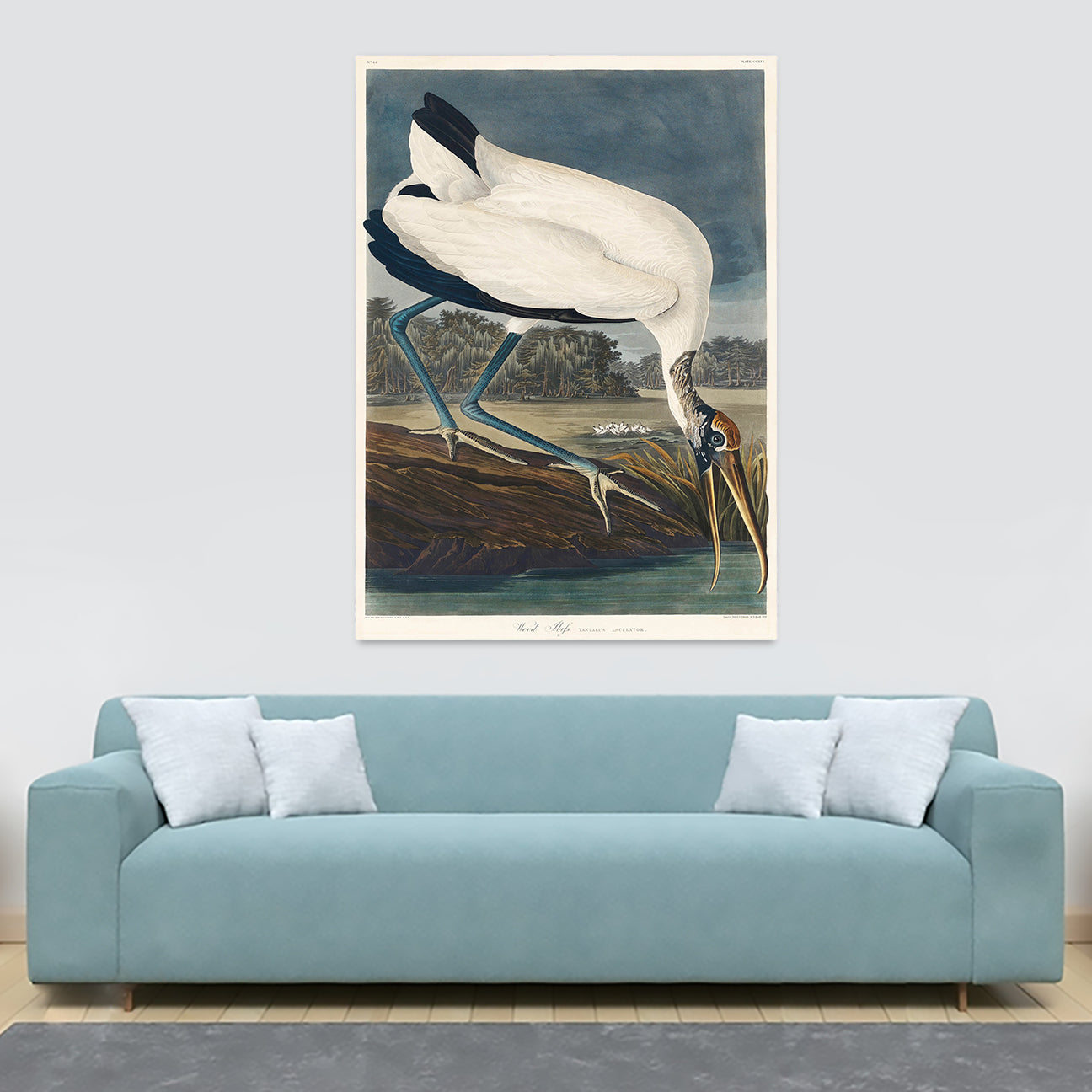 Wood Ibiss Bird - Vintage Art by James Audubon - Canvas Wall Art Framed Print - Various Sizes
