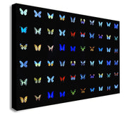 Butterfly Collage Multicolour - Canvas Wall Art Framed Print - Various Sizes