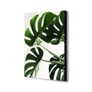 Swiss Cheese - Monstera Leaves - Canvas Wall Art Framed Print - Various Sizes