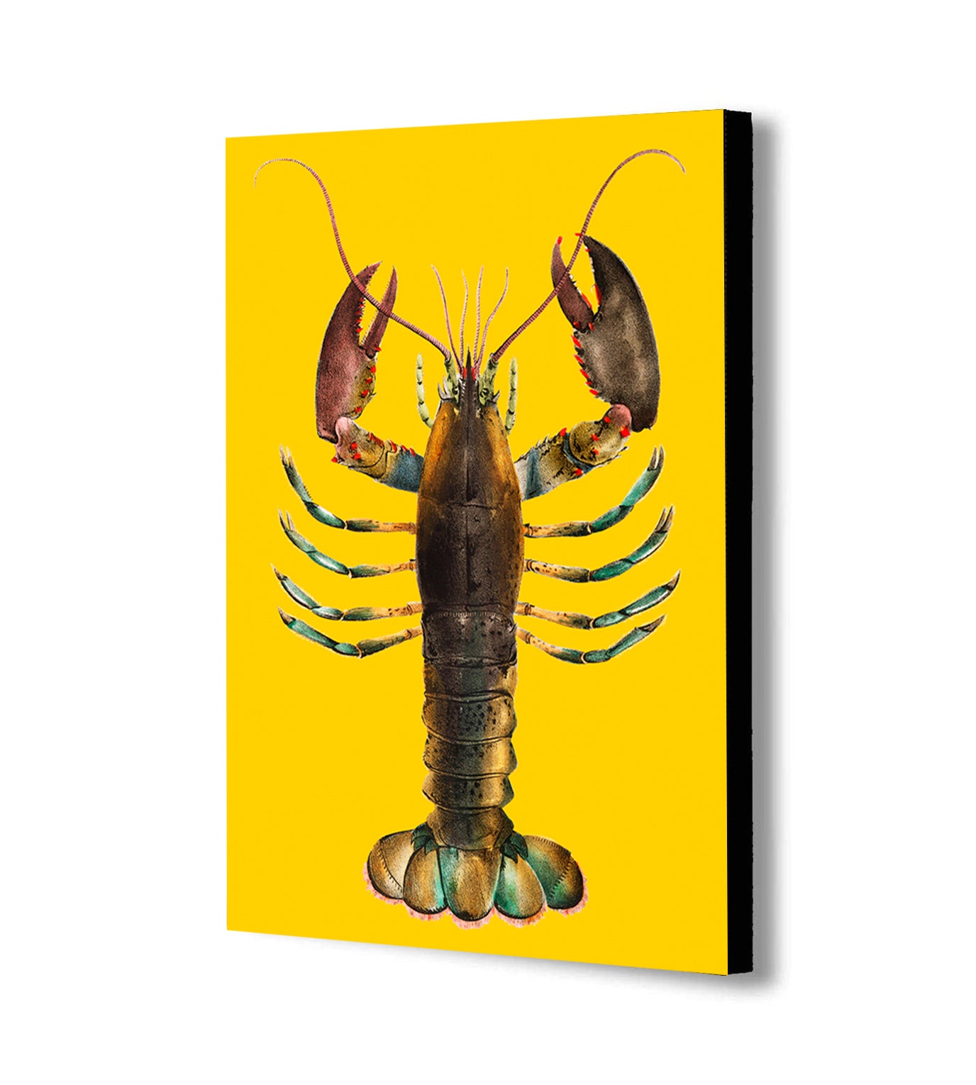 Lobster Yellow - Vintage - Canvas Wall Art Framed Print - Various Sizes