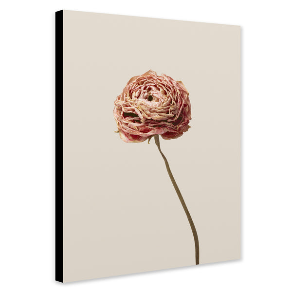 Aesthetic Flower - Minimalistic Wall Art - Canvas Wall Art Framed Print - Various Sizes