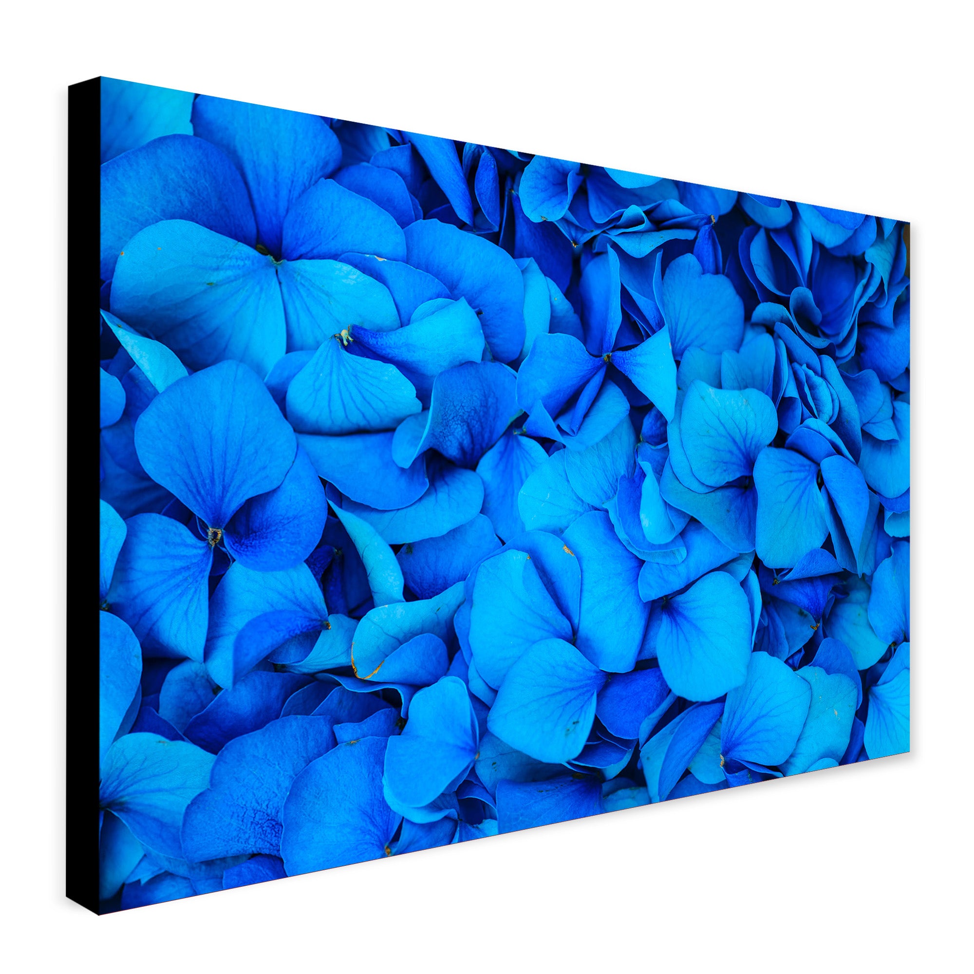 Blue Rose Petals - Flower Wall Art - Canvas Wall Art Framed Print - Various Sizes