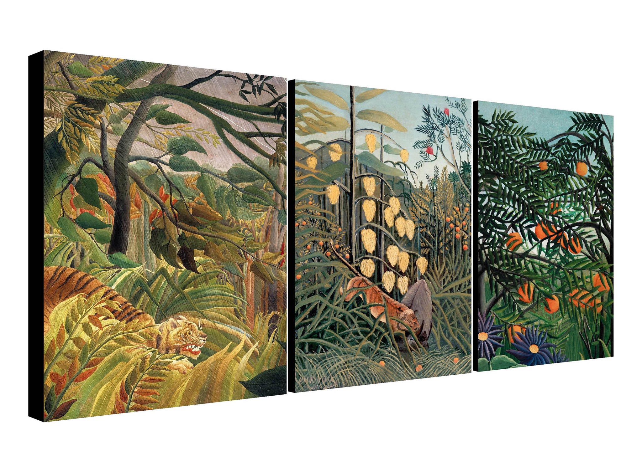 Henri Rousseau - Tropical Wall Art - Botanical Prints - 3 Piece Wall Art - Canvas Wall Art Framed Prints - Various Sizes