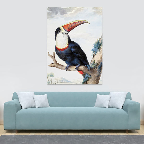 Red-billed Toucan - Vintage Bird Wall Art by Aert Schouman - Canvas Wall Art Framed  Print - Various Sizes