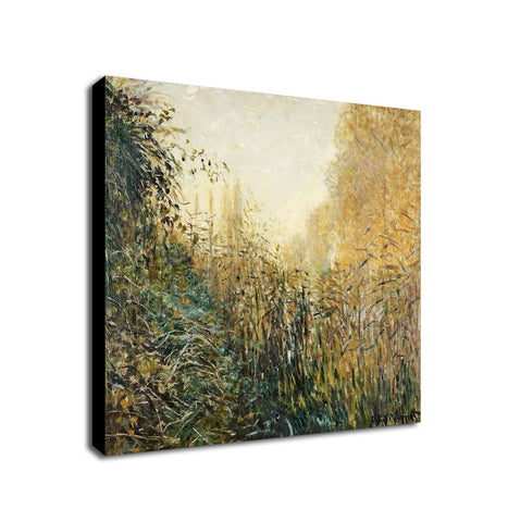 Study Rushes At Argenteui - Wall Art by Claude Monet - Framed Canvas Wall Art Print - Various Sizes