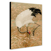 Sarus Crane In Rice Field - Vintage Japanese  Wall Art by G.A. Audsley - Canvas Wall Art Framed Print - Various Sizes