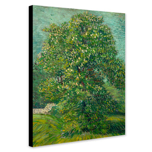 Chestnut Tree In Blossom by Vincent Van Gogh Wall Art - Canvas Wall Art Framed Print - Various Sizes