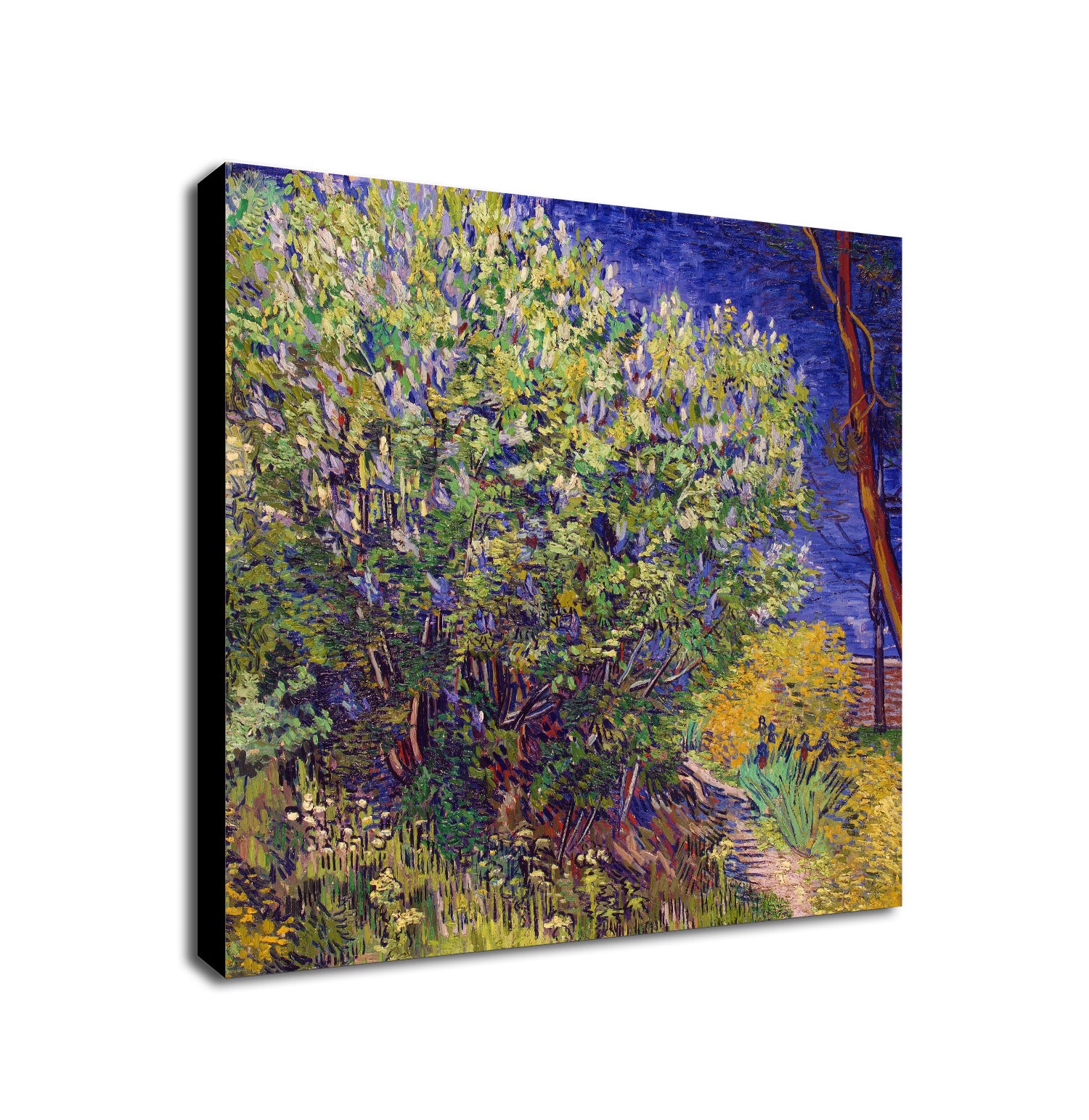 Lilac Bush Wall Art by Vincent Van Gogh - Framed Canvas Wall Art Print - Various Sizes