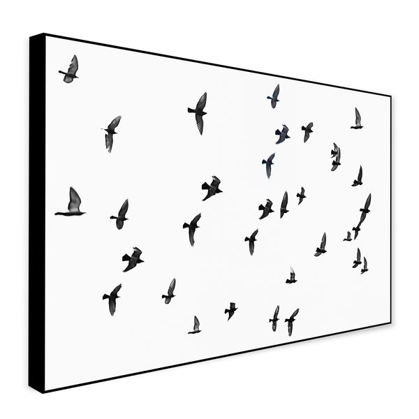 A Flock Of Birds - Wall Art - Canvas Wall Art Framed  Print - Various Sizes