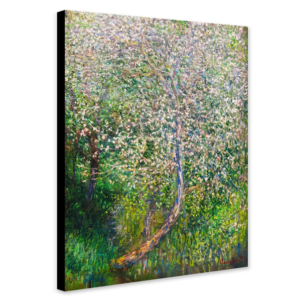 Apple Tree In Flowers At The Waterfront by Claude Monet - Canvas Wall Art Framed Print - Various Sizes