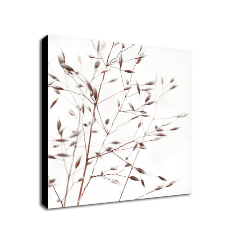 Willow Tree - Nature Wall Art - Framed Canvas Wall Art Print - Various Sizes