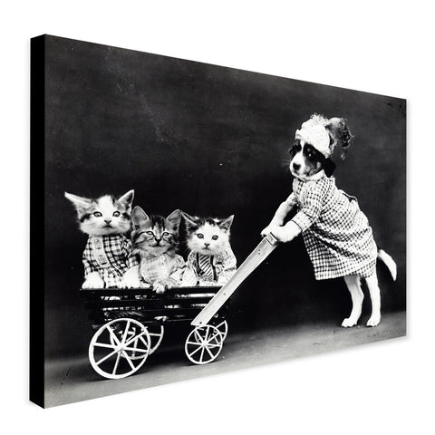 Funny Dressed Puppy and Kittens Vintage Wall Art - Canvas Wall Art Framed Print - Various Sizes