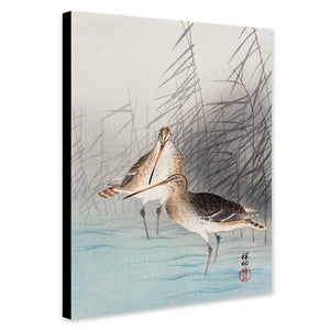 Two Bar-tailed Godwits - Japanese Wall Art by Ohara Koson - Canvas Wall Art Framed  Print - Various Sizes