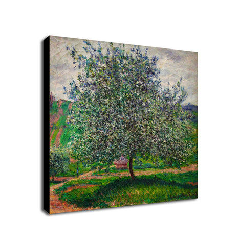 The Apple Tree by Claude Monet - Framed Canvas Wall Art Print - Various Sizes