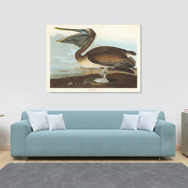 Pelican - Vintage Art by John James Audubon - Canvas Wall Art Framed  Print - Various Sizes