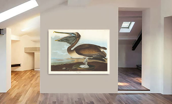 Pelican - Vintage Art by John James Audubon - Canvas Wall Art Framed  Print - Various Sizes