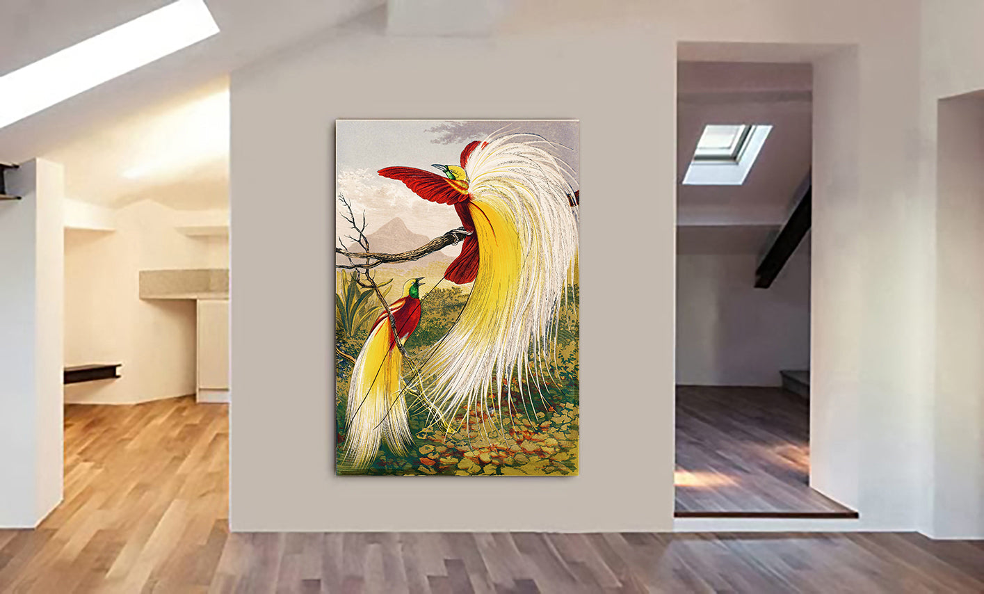 The Birds of Paradise Vintage Bird Wall Art by Benjamin Fawcett - Canvas Wall Art Framed Print - Various Sizes