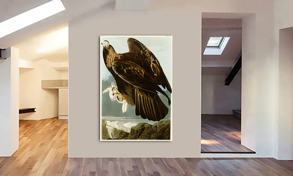 Golden Eagle - Vintage Art by John James Audubon - Canvas Wall Art Framed  Print - Various Sizes