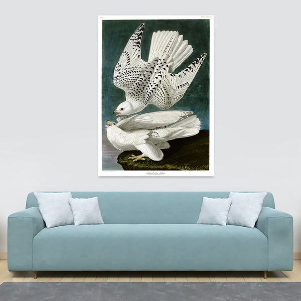 The Gyrfalcon by John James Audubon - Canvas Wall Art Framed  Print - Various Sizes