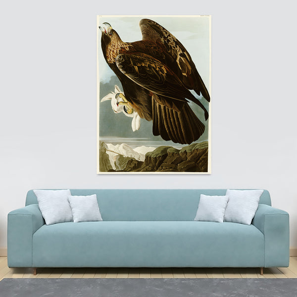 Golden Eagle - Vintage Art by John James Audubon - Canvas Wall Art Framed  Print - Various Sizes