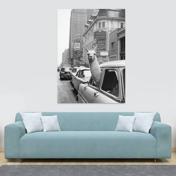 A Llama in a Taxi - Times Square - New York - Funny Wall Art - Canvas Wall Art Framed Print - Various Sizes