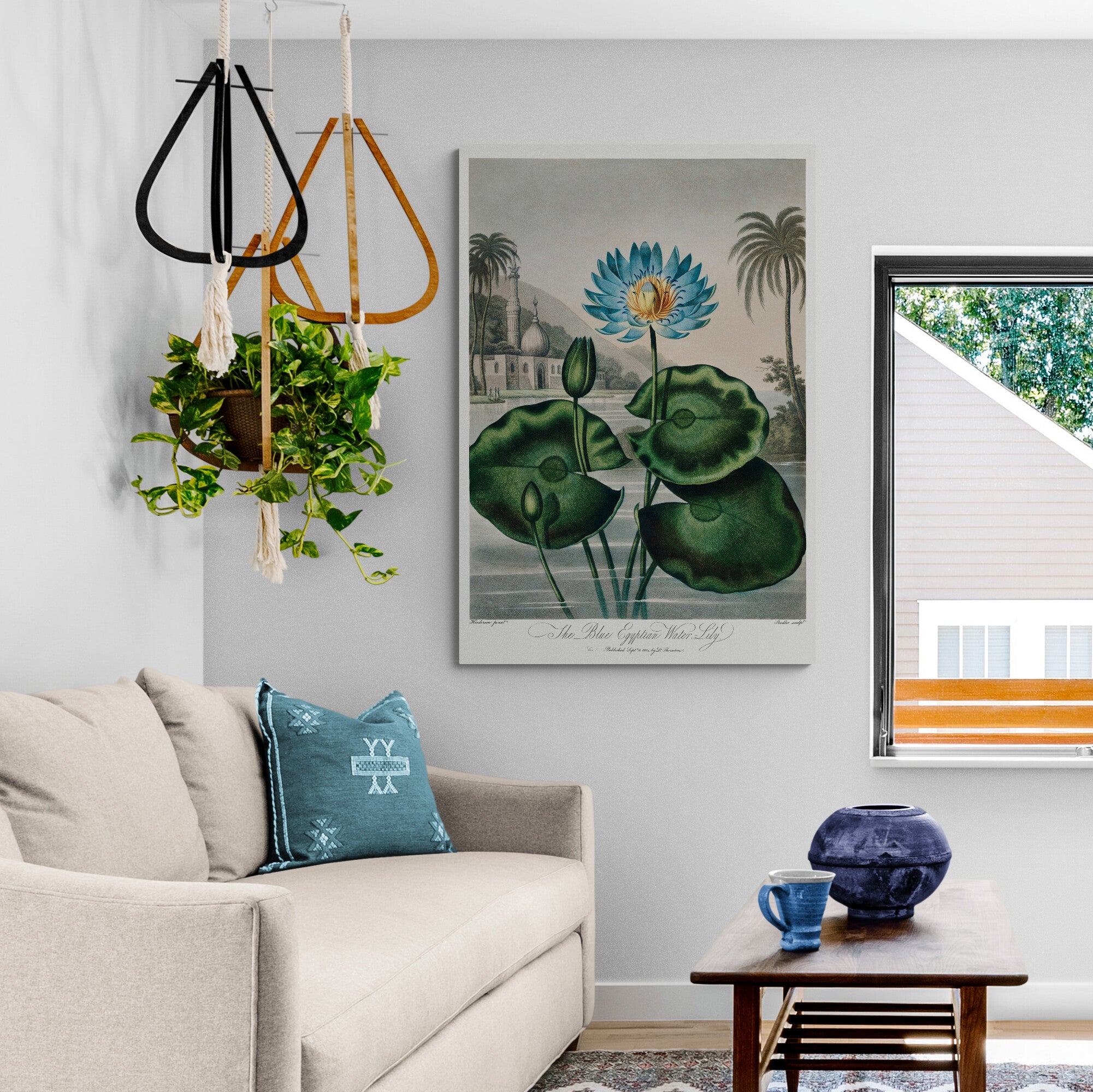 The Blue Egyptian Water-Lily from The Temple of Flora by Robert John Thornton 1807 - Canvas Wall Art Framed  Print - Various Sizes