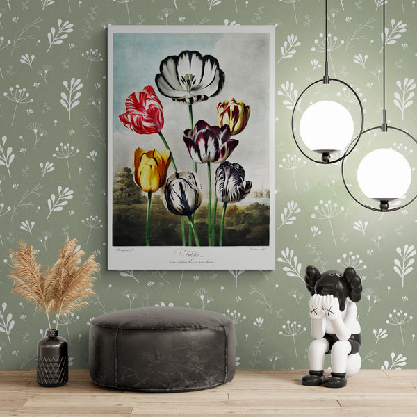 Tulips from The Temple of Flora by Robert John Thornton 1807 - Canvas Wall Art Framed  Print - Various Sizes