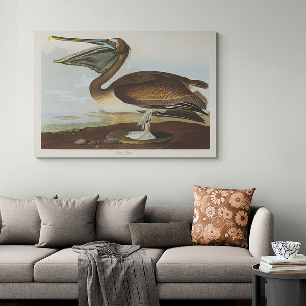 Pelican - Vintage Art by John James Audubon - Canvas Wall Art Framed  Print - Various Sizes