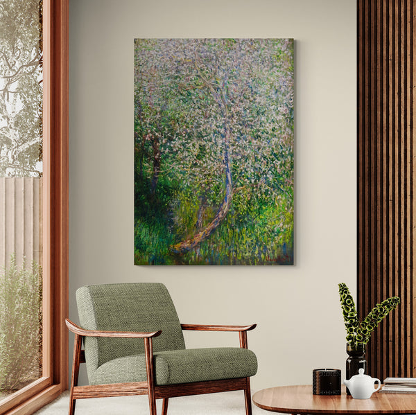 Apple Tree In Flowers At The Waterfront by Claude Monet - Canvas Wall Art Framed Print - Various Sizes